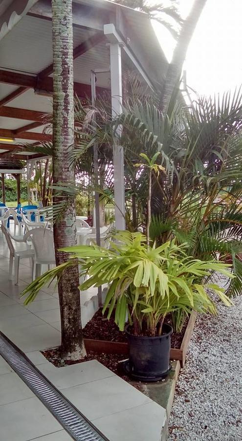 Hotel Des Amandiers Cayenne Dış mekan fotoğraf