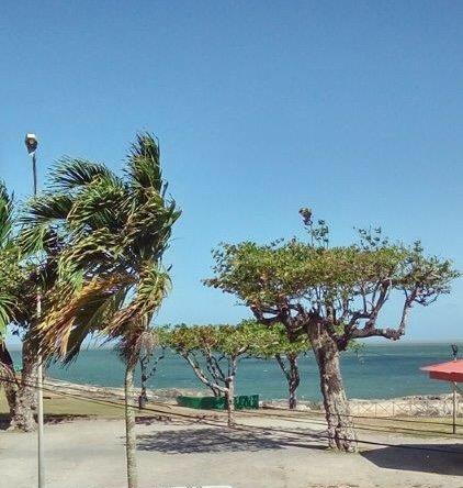 Hotel Des Amandiers Cayenne Dış mekan fotoğraf