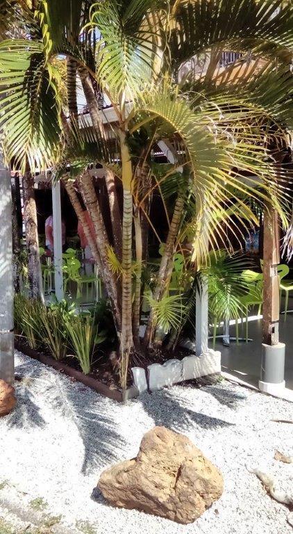 Hotel Des Amandiers Cayenne Dış mekan fotoğraf